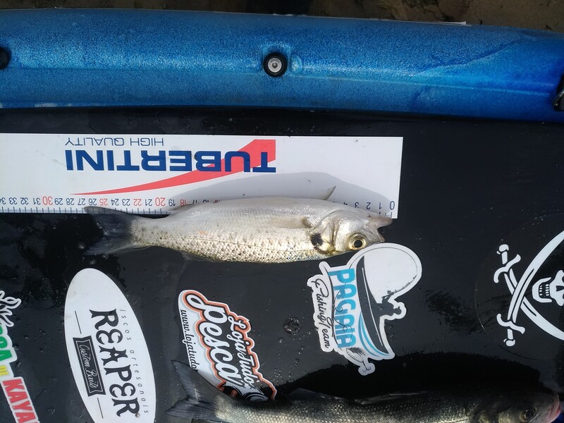 Fish Measure Picture